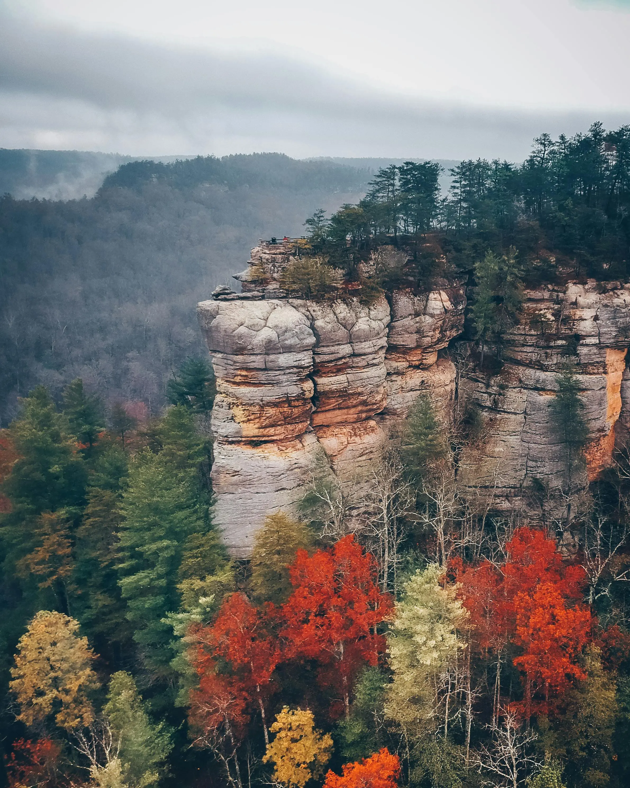 Rock climbing at Red River Gorge
